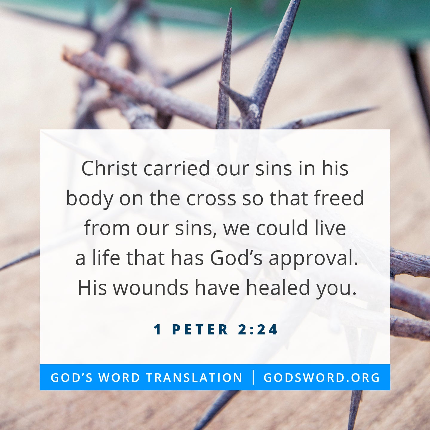 Compare 1 Peter 2:24 Christ carried our sins in his body on the