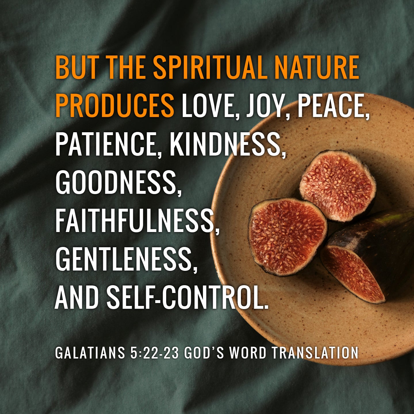 Galatians 5:22 But the fruit of the Spirit is love, joy, peace, patience,  kindness, goodness, faithfulness