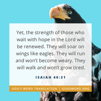 Compare Isaiah 40:31 in Four Translations