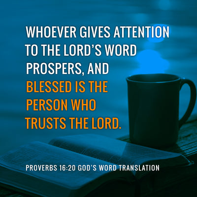 Comparing Proverbs 16:20-21