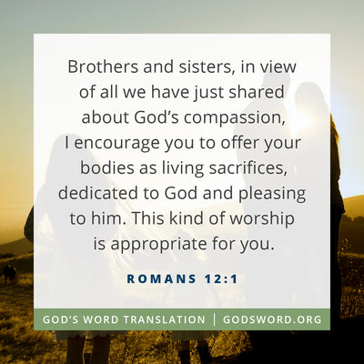 Compare Romans 12:1 in Four Translations