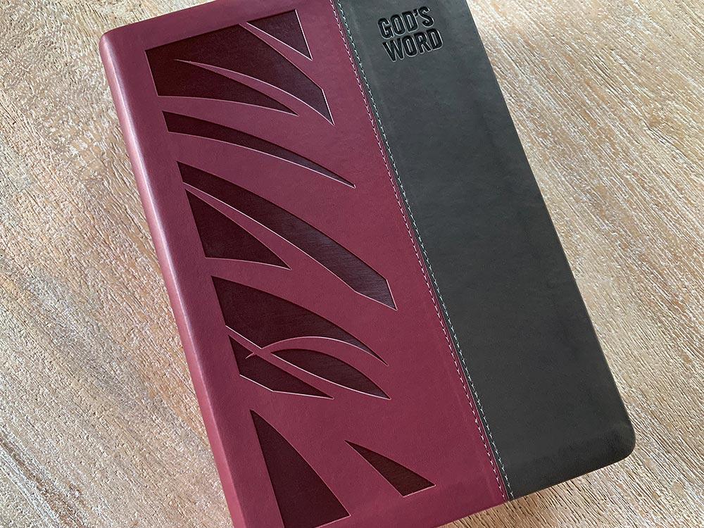 GOD'S WORD Deluxe Wide-Margin Journaling Bible (Case of 10 Copies