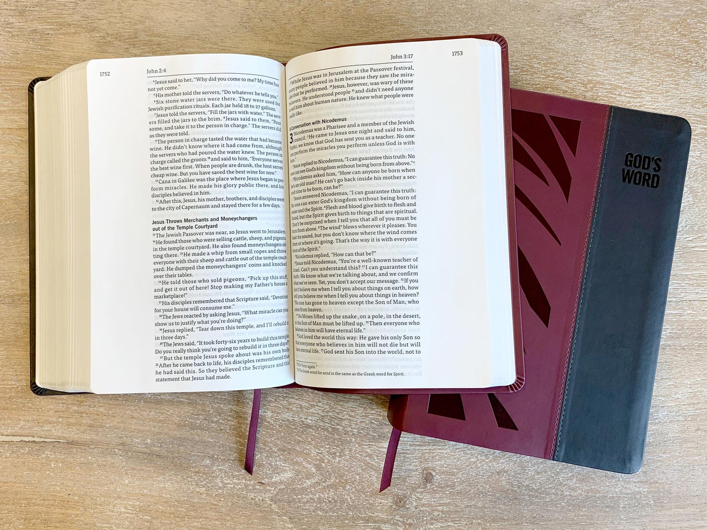 GOD'S WORD Wide-Margin Deluxe Bible Interior Spread and Cover