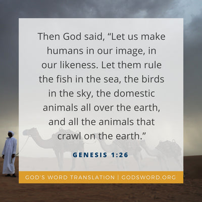 Compare Genesis 1:26 in Four Translations