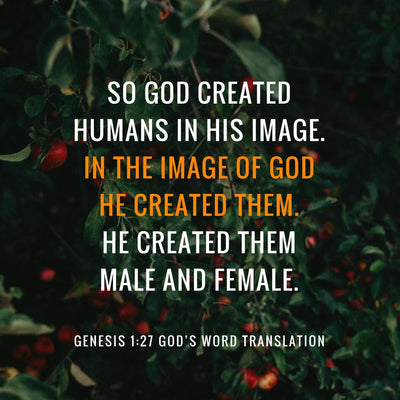A Comparison of Genesis 1:27