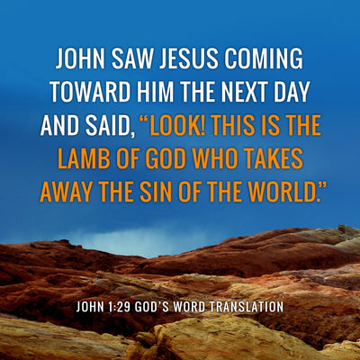 A Comparison of John 1:29-31