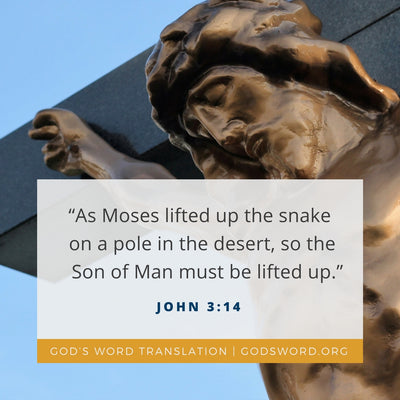 Compare John 3:14-15 in Four Translations
