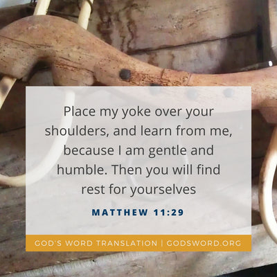 Compare Matthew 11:29 in Four Translations