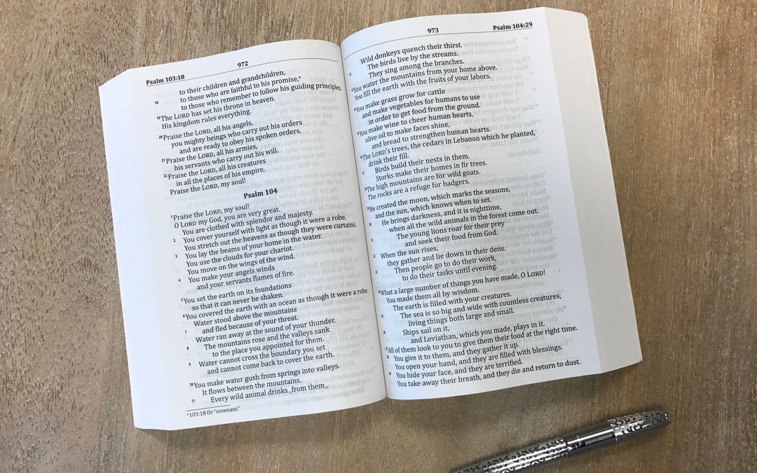 GOD'S WORD Large Print Bible Hardcover Edition – God's Word