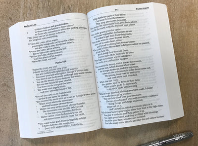 GOD’S WORD Large-Print Bible: Paperback