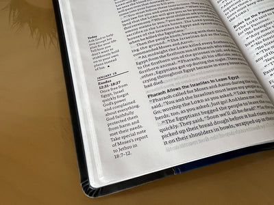 Deluxe GOD’S WORD for Each Day: Reading Plan Bible
