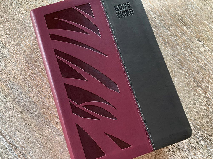 GOD'S WORD Deluxe Wide-Margin Journaling Holy Bible – God's Word
