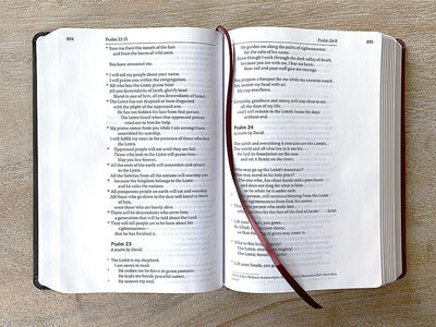 interior GOD’S WORD Deluxe Wide-Margin Journaling Bible