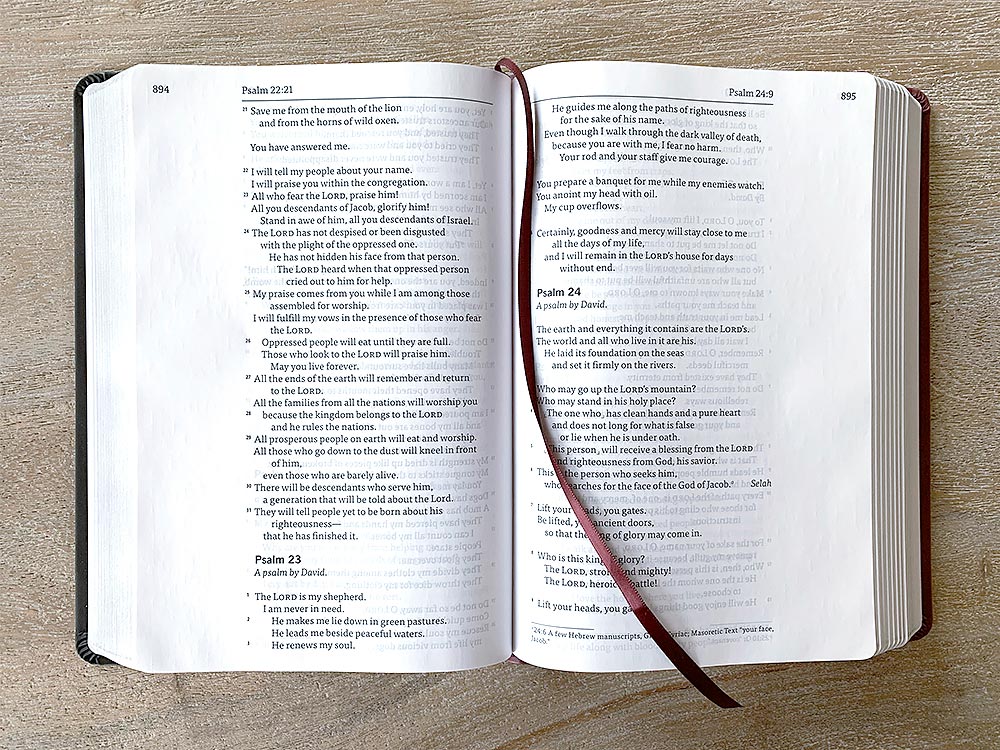 GOD’S WORD Deluxe Wide-Margin Journaling Bible (Case of 10 Copies ...